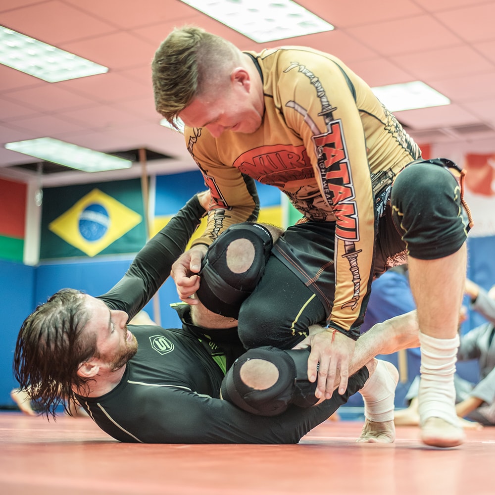 Sheepshead Bay Roll — daily training