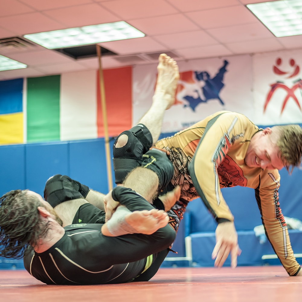 Sheepshead Bay Roll — daily training
