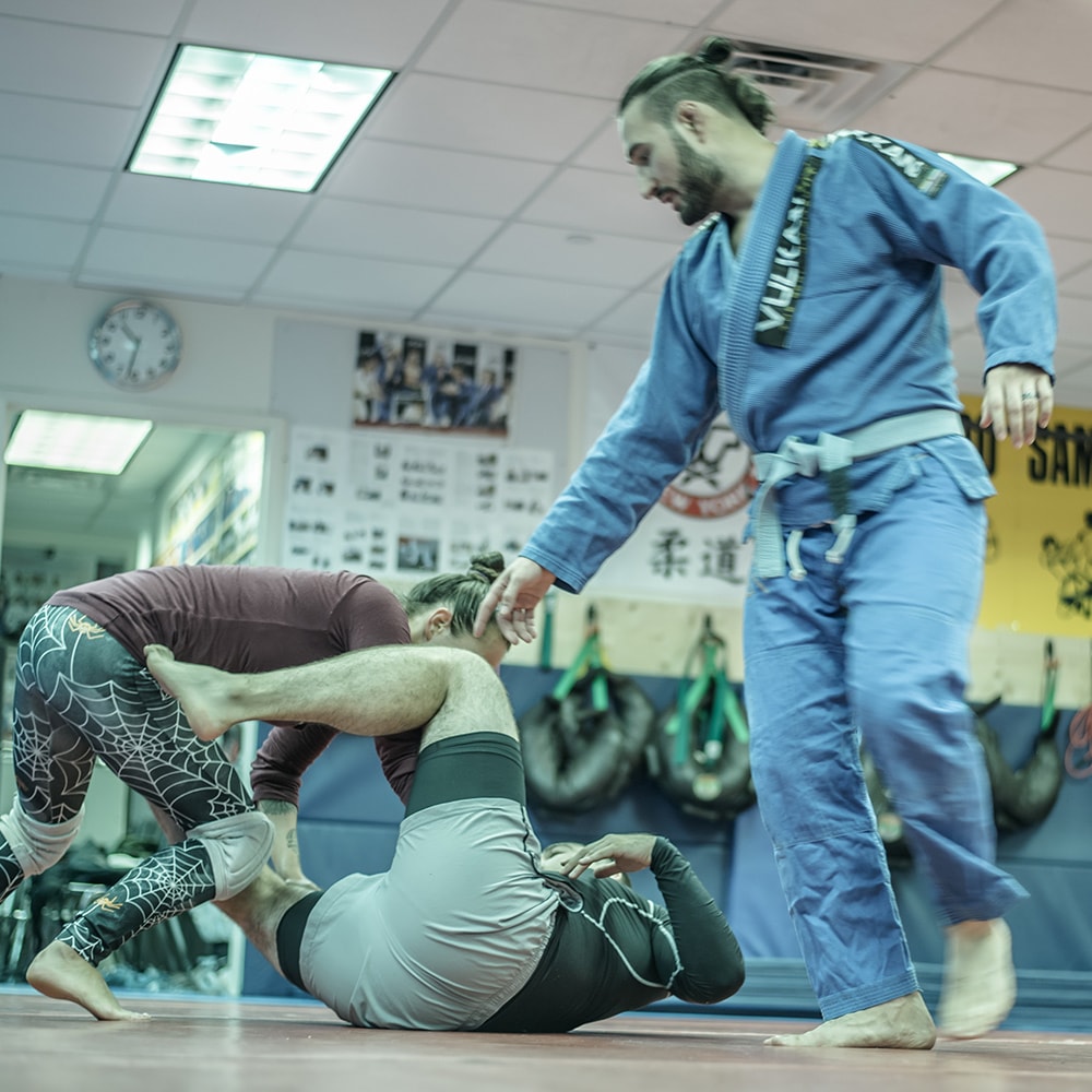 Sheepshead Bay Roll — daily training